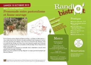 rando-bistrot-beuil-octobre-2015-1